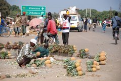 Mozambique: Inchope