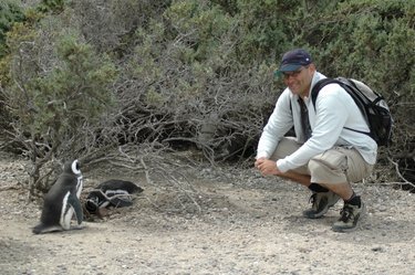 Argentinië: Puerto Madryn