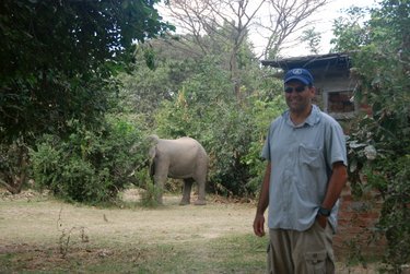 Zambia: South Luangwa NP